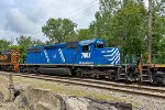 WE 7007
